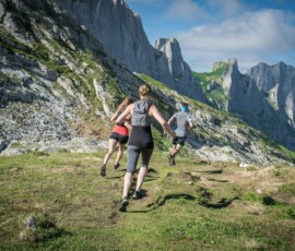 a group of people hiking up a mountain